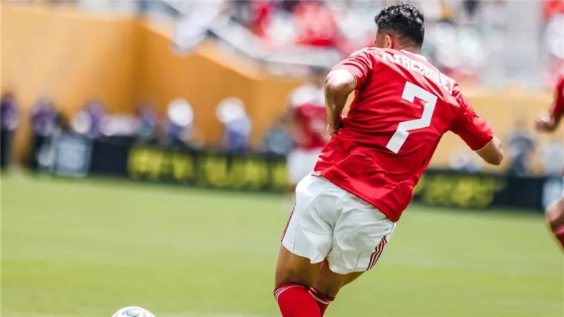 تريزيجيه: 