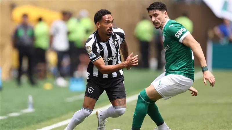 أهداف مباراة بالميراس و بوتافوجو بدور الـ16 فى كأس العالم للأندية 