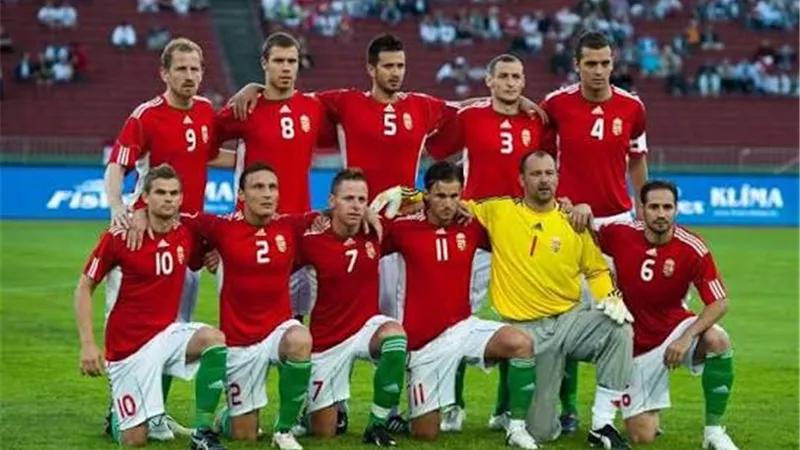 أهداف مباراة المجر وايرلندا  في تصفيات أوروبا لكأس العالم (فيديو)