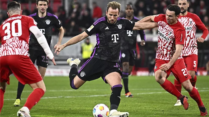 بثلاثية.. بايرن ميونيخ يفوز على سبورتنج ويحتل وصافة ترتيب دوري أبطال أوروبا
