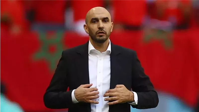 يتصدرهم وليد الركراكي.. 4 أسماء عالمية مرشحة لخلافة رينارد في تدريب السعودية