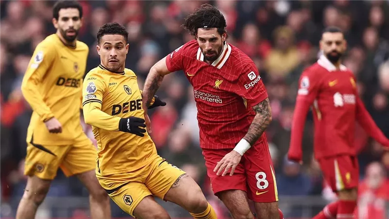 كييزا أساسيًا.. سلوت يعلن تشكيل ليفربول ضد ولفرهامبتون في الدوري الإنجليزي