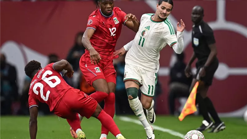أهداف مباراة الجزائر وغينيا الإستوائية في أمم أفريقيا (فيديو)