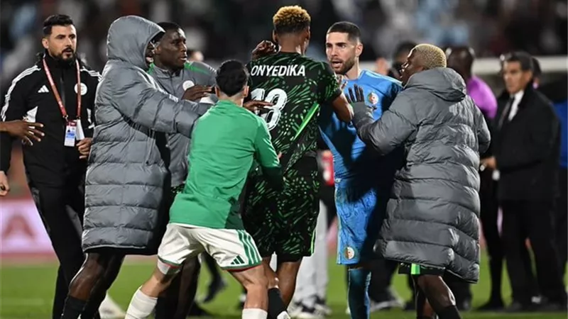 إيقاف لاعبين وغرامة ضخمة.. عقوبات نارية على منتخب الجزائر بعد أمم أفريقيا