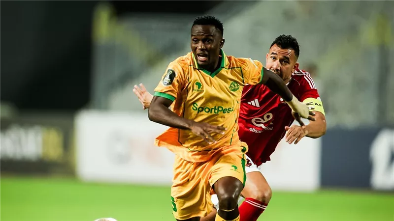 الأهلي يفوز على يانج أفريكانز ويسيطر على صدارة المجموعة بدوري الأبطال (فيديو)