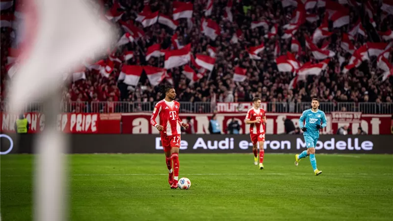أهداف مباراة بايرن ميونخ ضد هوفنهايم فى الدورى الألمانى 