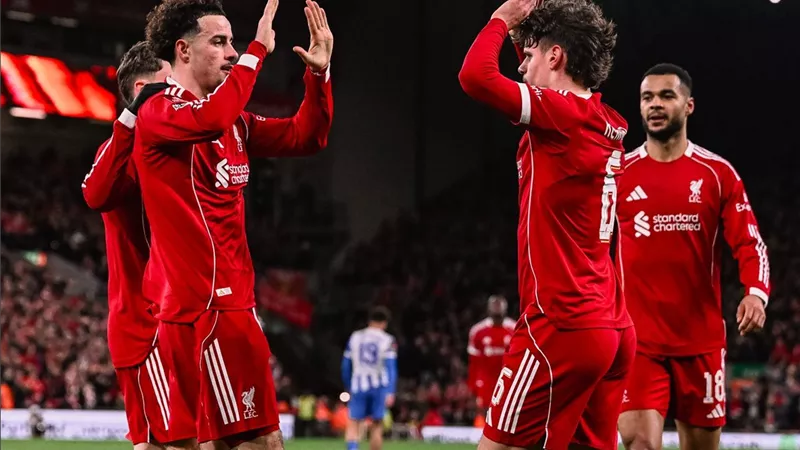 فيديو أهداف مباراة ليفربول وبرايتون في كأس الاتحاد الإنجليزي