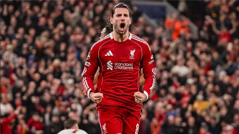 فيديو أهداف مباراة ليفربول وجالطة سراي في دوري أبطال أوروبا